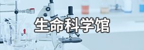 英国成为曼城的官方合作伙伴