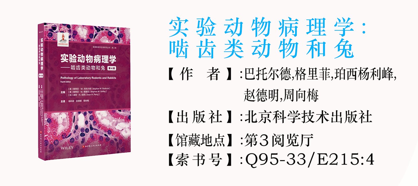 发布时间